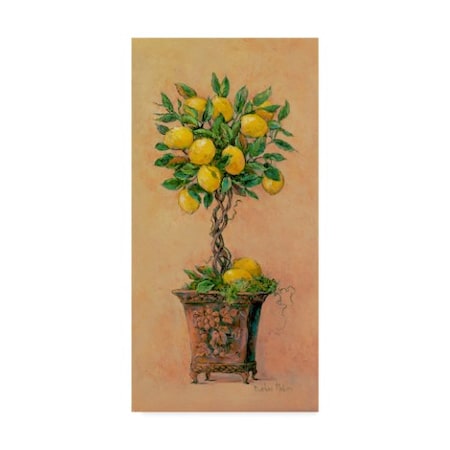 Barbara Mock 'Potted Lemons' Canvas Art,12x24